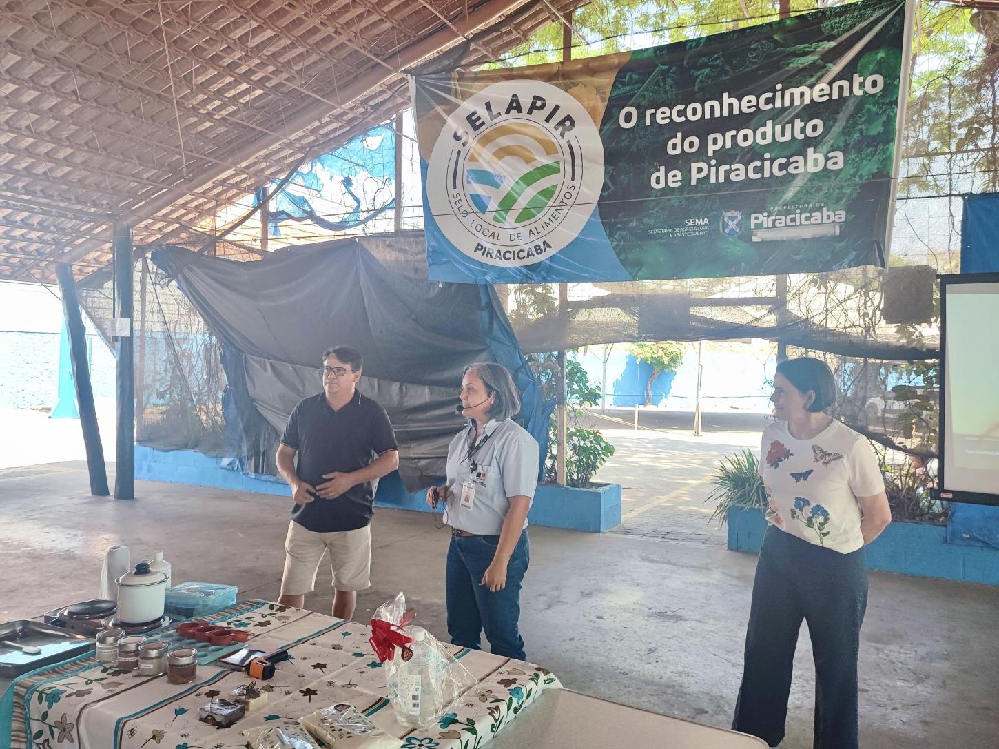 Criação de abelhas sem ferrão atraiu 250 pessoas em encontro no domingo