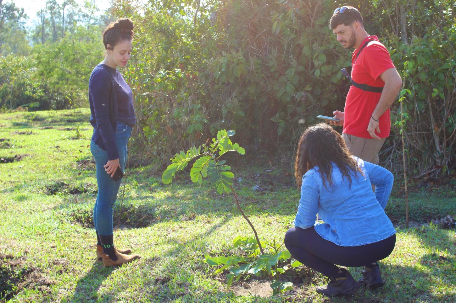 Prefeitura firma parceria com ONG para aprimorar programas de conservação da Mata Atlântica e Cerrado do município