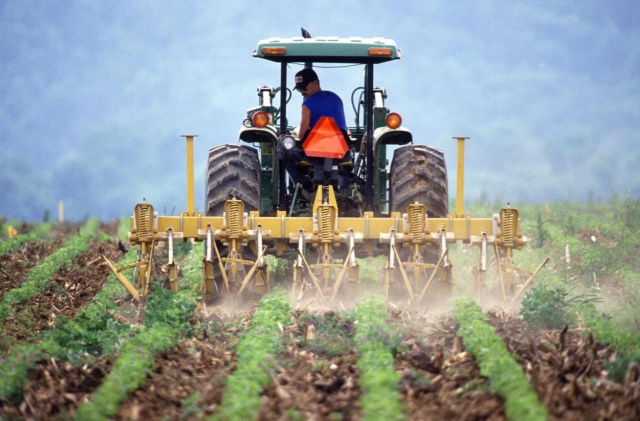 Eventos marcam Dia do Agricultor em Piracicaba, celebrado na segunda-feira, 28/07