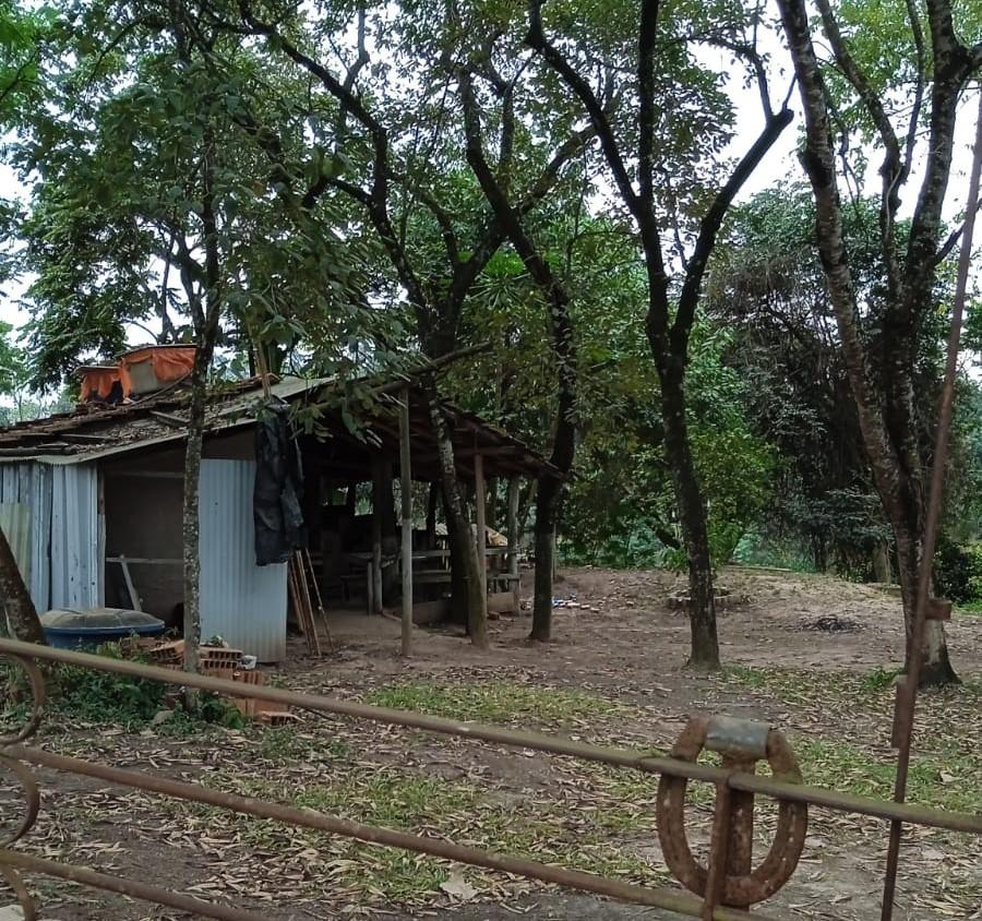 Fiscalização identifica ocupação irregular em áreas de preservação às margens do rio Piracicaba