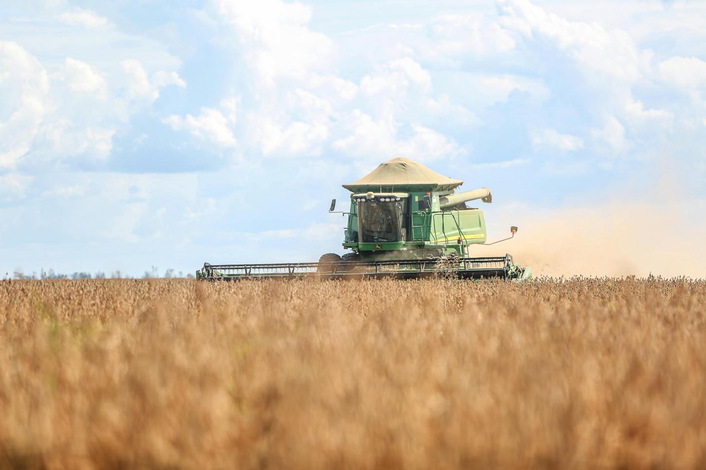 Secretaria de Agricultura, Abastecimento e Meio Ambiente reforça importância da prevenção da ferrugem asiática da soja