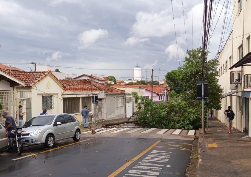 Força-tarefa trabalha para amenizar danos causados pela chuva