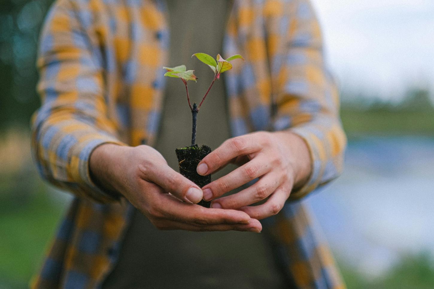 Prefeitura realiza Plante Vida em comemoração a crianças nascidas em 2025