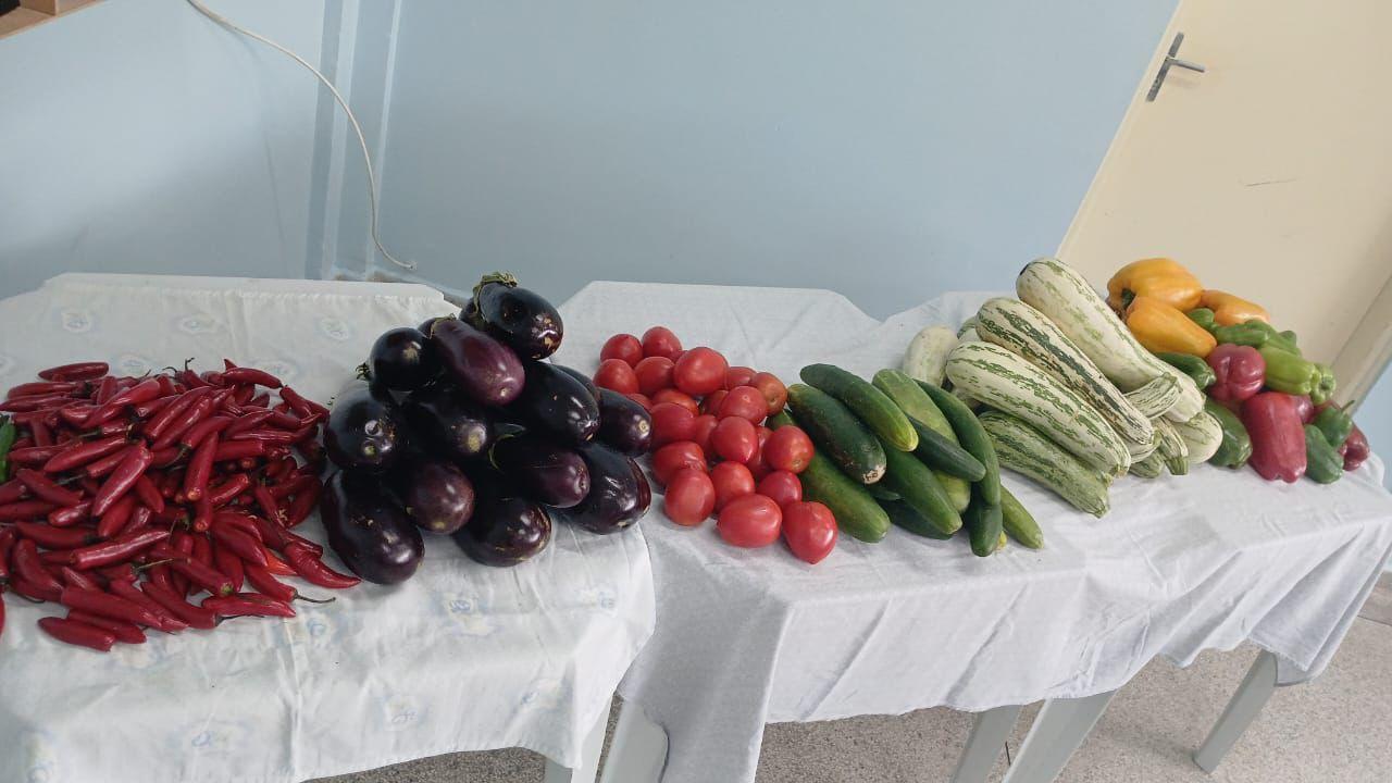 Fundo Social distribui 6 toneladas de legumes para comunidades e entidades sociais   