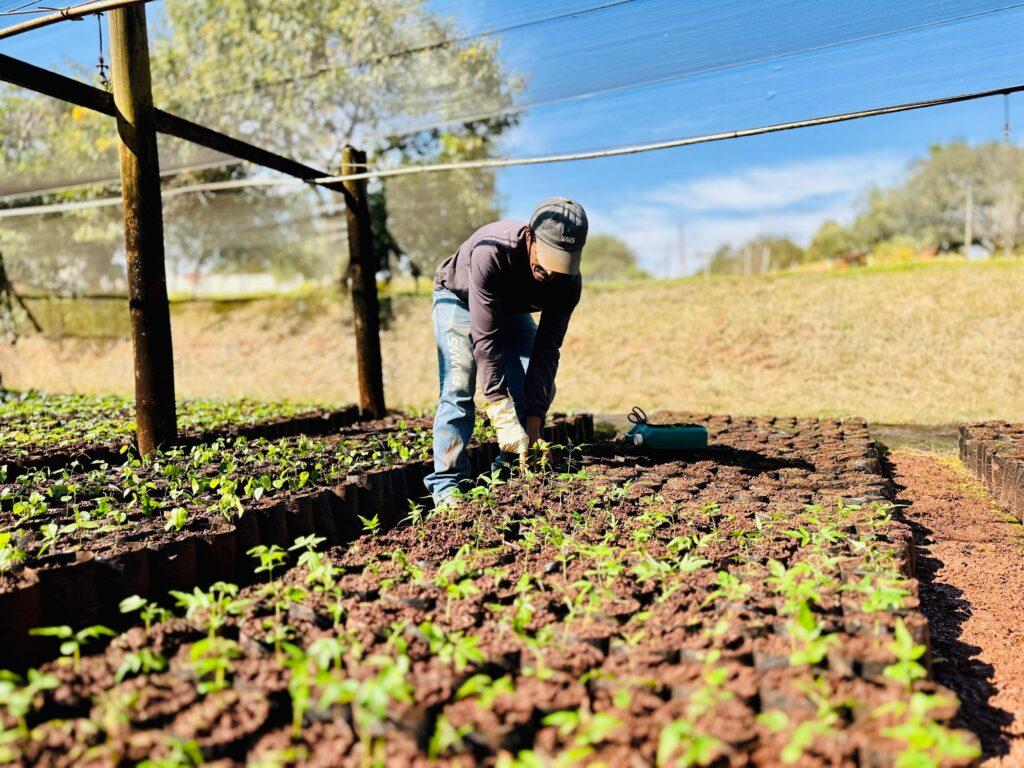  Retrospectiva 2025: Prefeitura ampliou ações de fomento à agricultura e meio ambiente no município