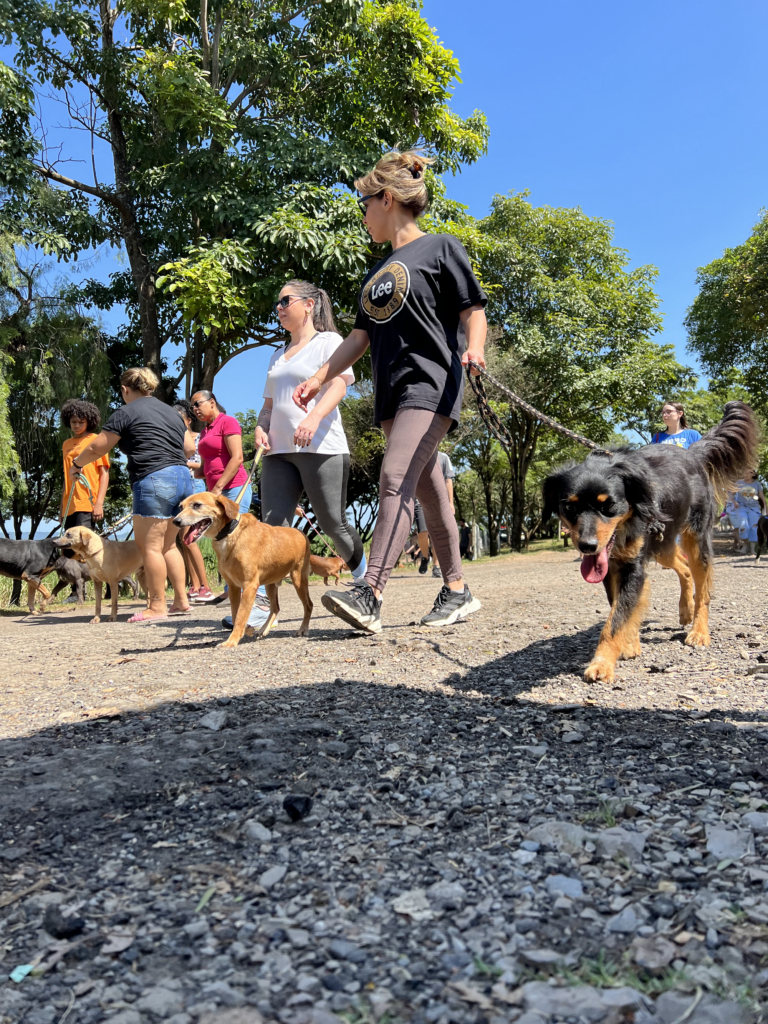 Ação educativa reúne crianças e pets no Parque Piracicaba