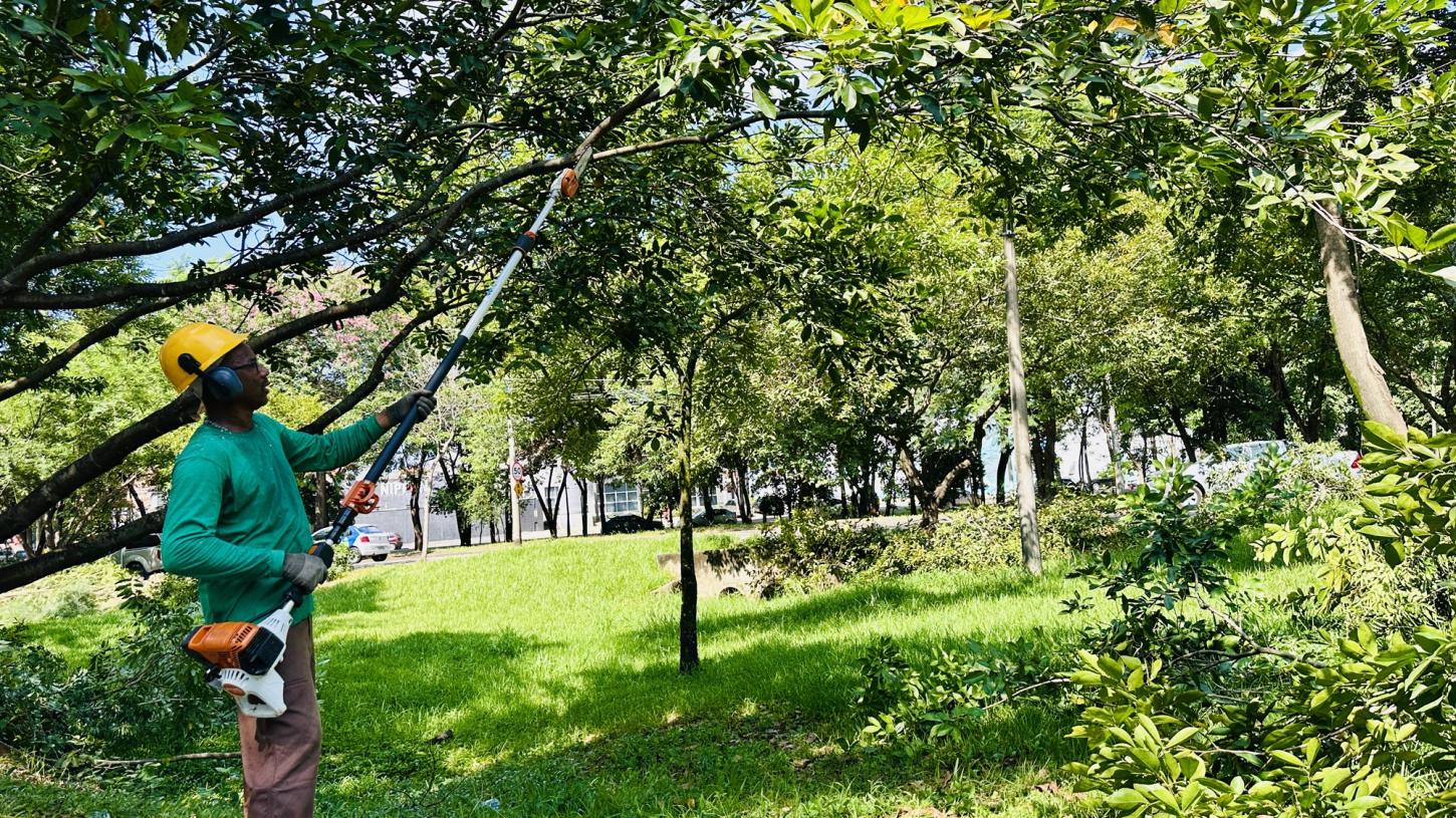  Prefeitura realiza poda de árvores em áreas verdes de Piracicaba
