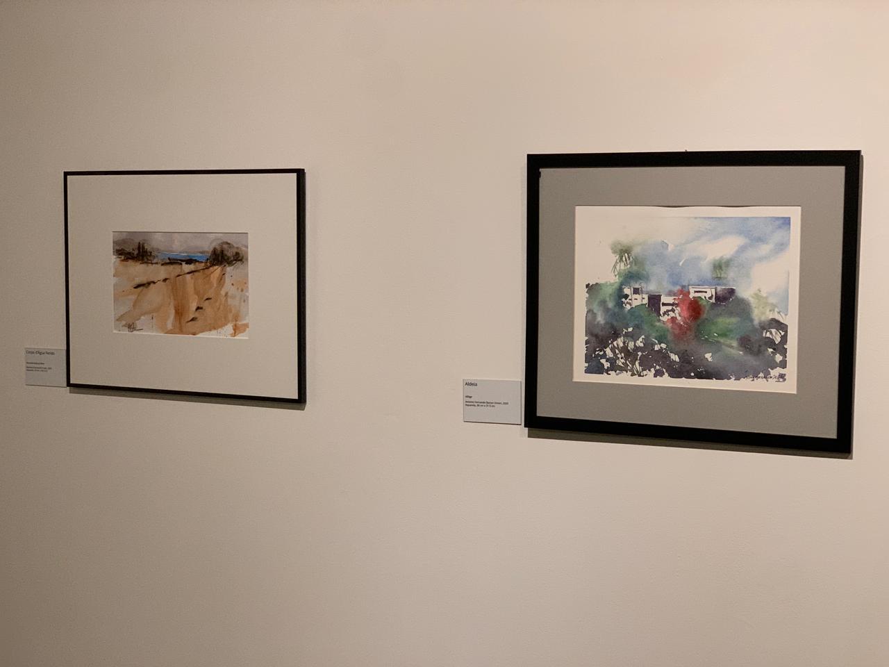Único no Brasil: Salão de Aquarelas de Piracicaba ganha reconhecimento da ABA