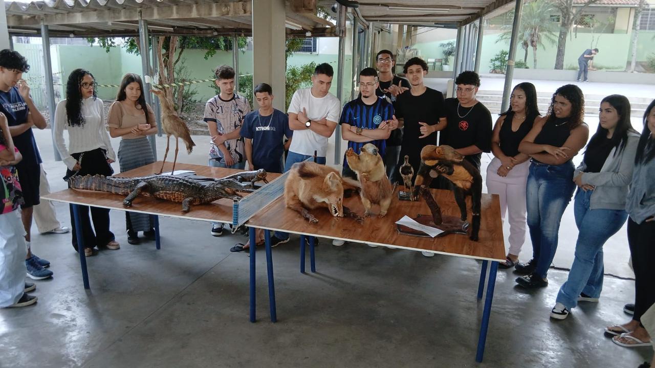 Animais taxidermizados ajudam estudantes a entender impactos dos incêndios florestais
