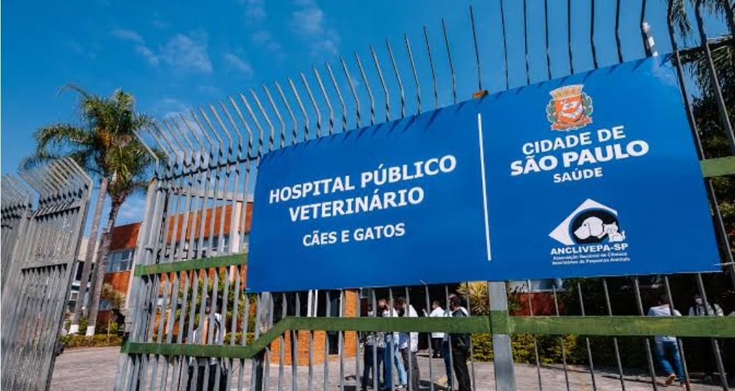 Governo de SP expande atendimento veterinário gratuito para 67 municípios
