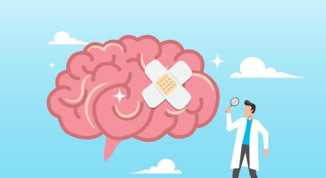 Florais e saúde mental? Entenda como essências são usadas em busca de equilíbrio emocional