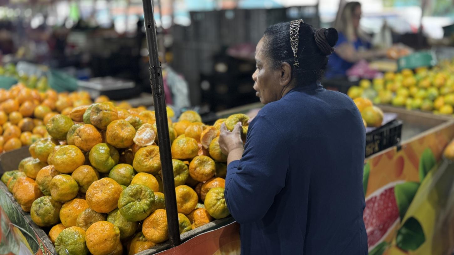 Dia Mundial da Alimentação: agricultura familiar movimenta cerca de 1 milhão de toneladas de alimentos por ano