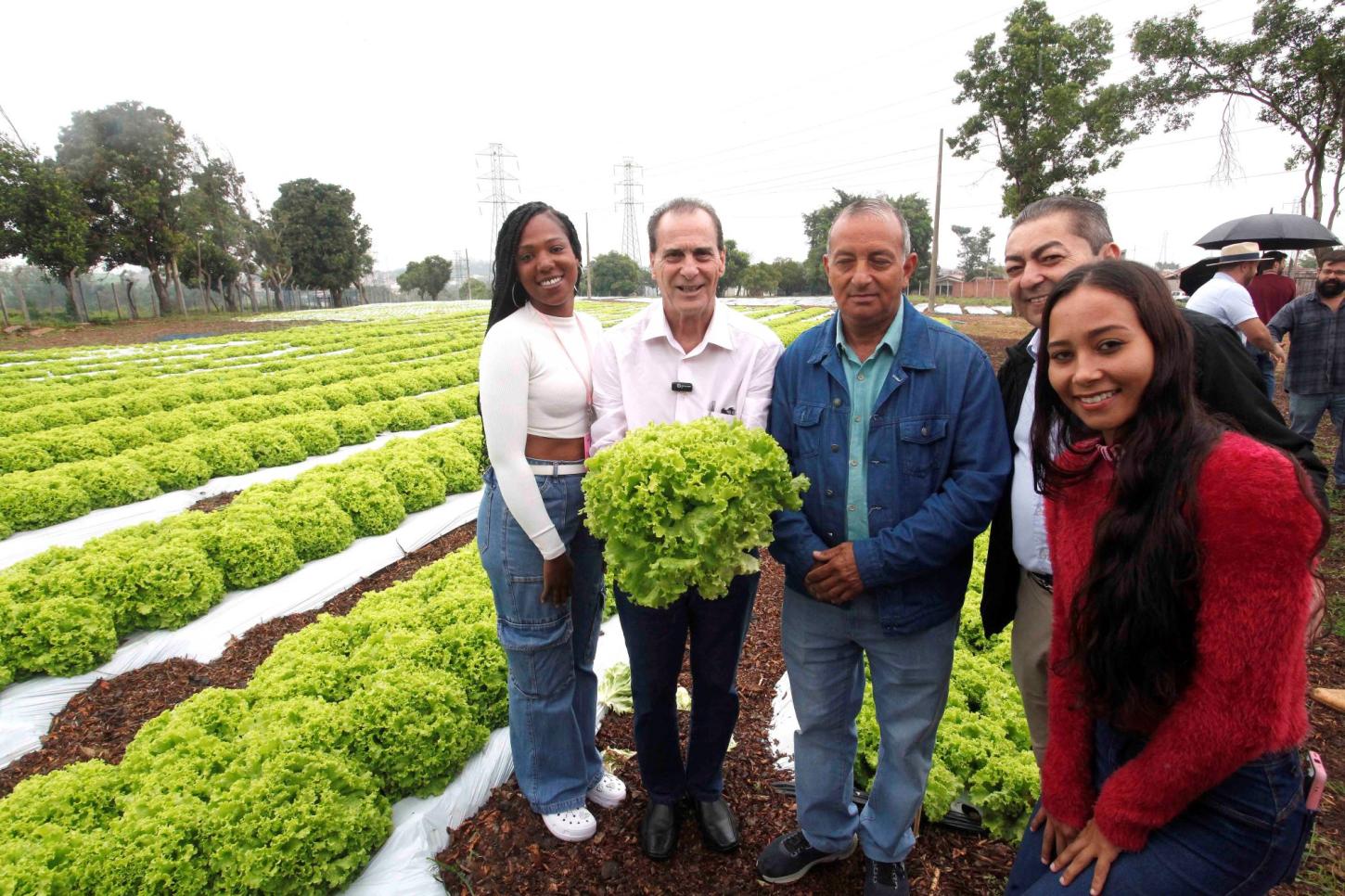 Horta no Mario Dedini transforma terreno em oportunidade de trabalho e renda