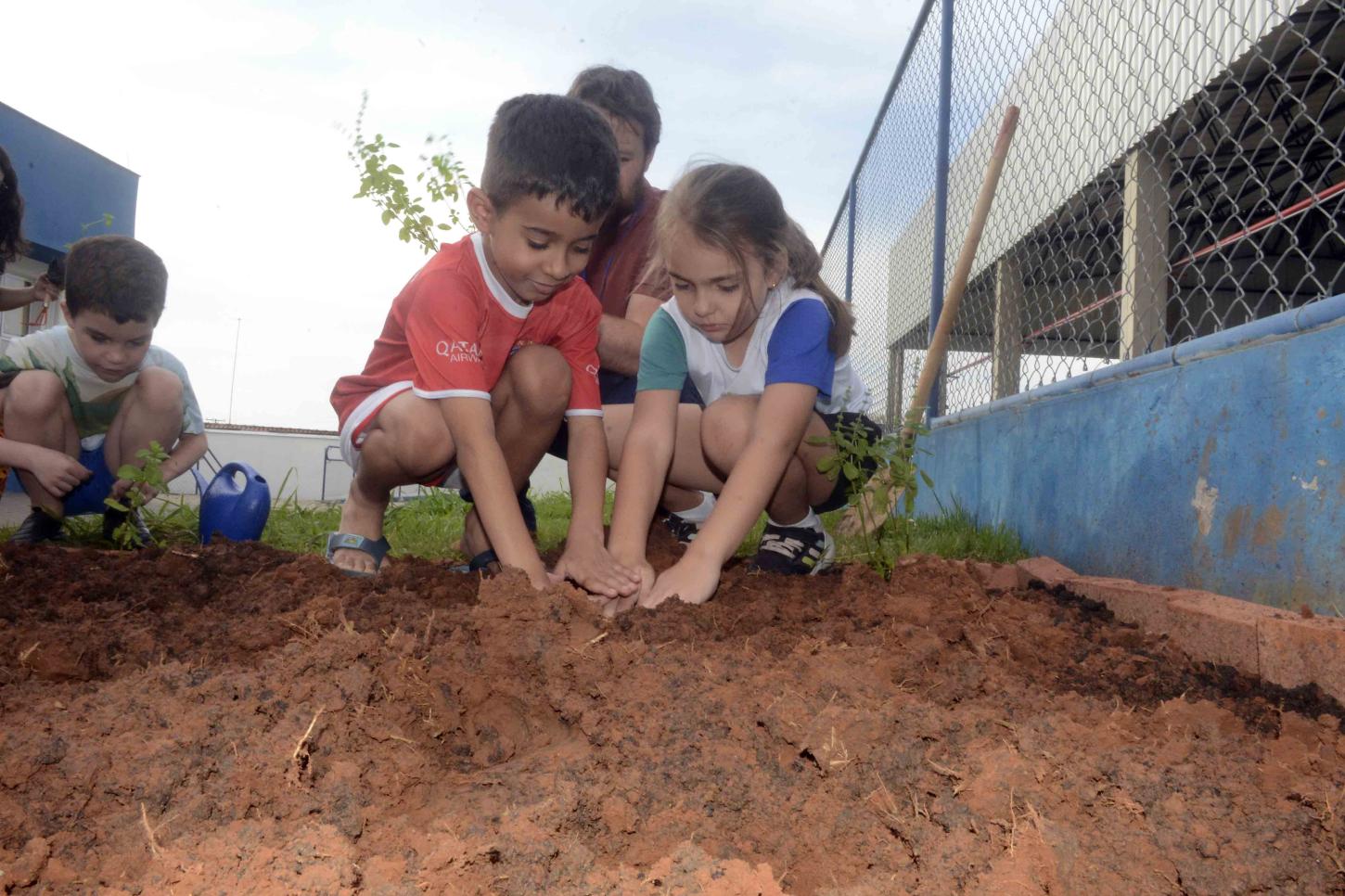 Mãos na terra: projeto Horta nas Escolas transforma aprendizado em experiência