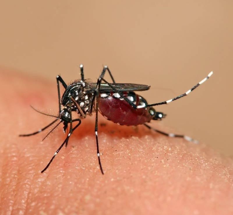 Mudanças climáticas ampliam áreas de transmissão de doenças infecciosas no Brasil, aponta estudo