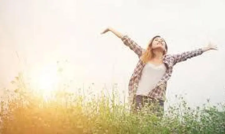 A DELICADA ARTE DE VIVER