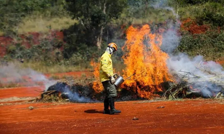 Ação humana é a principal causa de incêndios; confira dicas da Defesa Civil