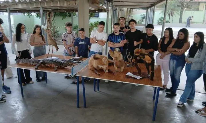 Animais taxidermizados ajudam estudantes a entender impactos dos incêndios florestais
