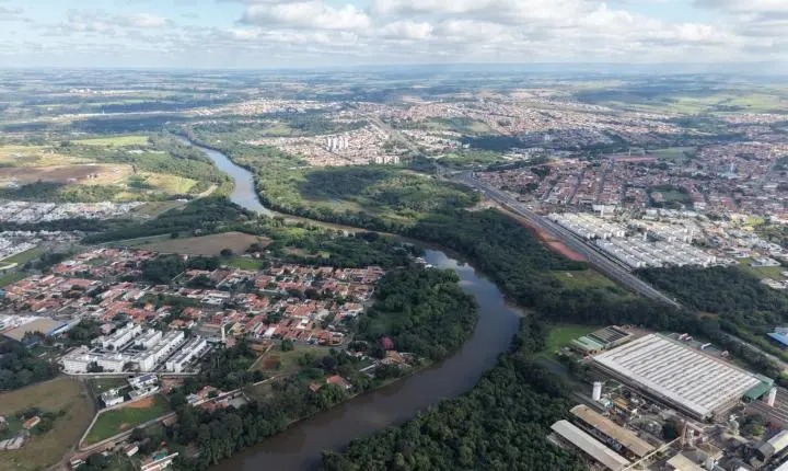 Cidade verde e planejada: Manual de Arborização Urbana será lançado no dia 21/07