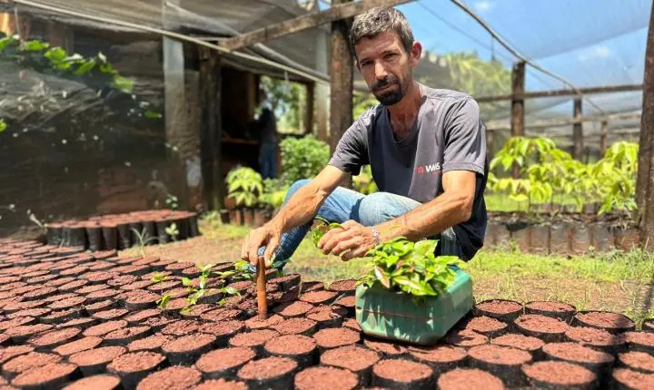 Cidade verde: mais de 46 mil mudas plantadas impulsionam arborização em Piracicaba