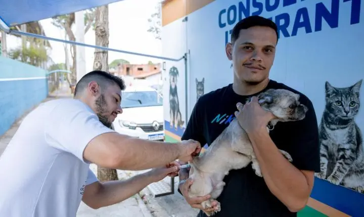 Conexão Verde promove doação de mudas, adoção e vacinação de animais no sábado, 15/08