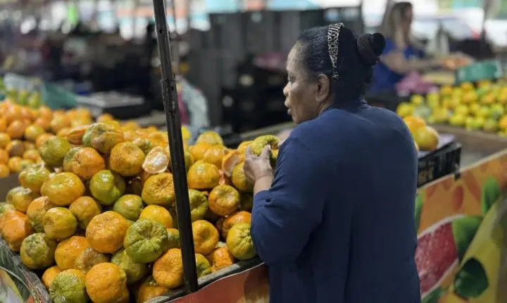 Dia Mundial da Alimentação: agricultura familiar movimenta cerca de 1 milhão de toneladas de alimentos por ano