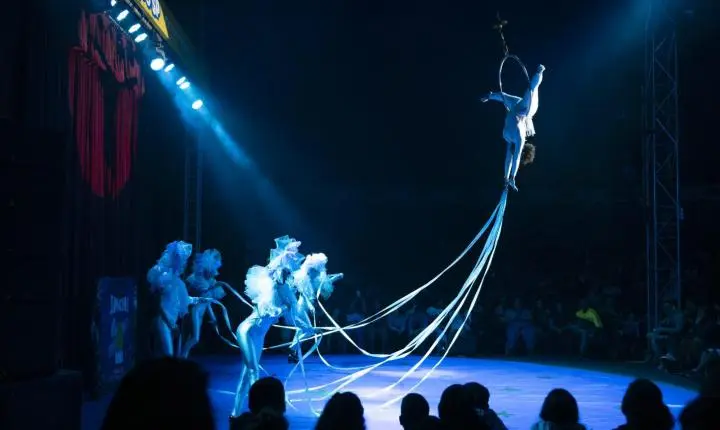 Festival de Circo SP começa quinta-feira, 03/09, no Parque do Engenho Central 