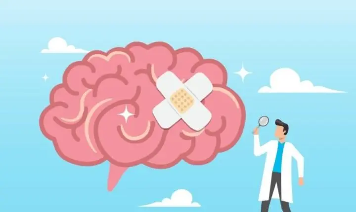 Florais e saúde mental? Entenda como essências são usadas em busca de equilíbrio emocional