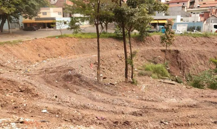 Horta no Mario Dedini transforma terreno em oportunidade de trabalho e renda