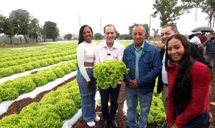 Horta no Mario Dedini transforma terreno em oportunidade de trabalho e renda
