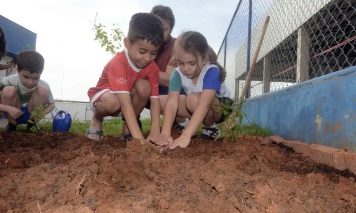 Mãos na terra: projeto Horta nas Escolas transforma aprendizado em experiência